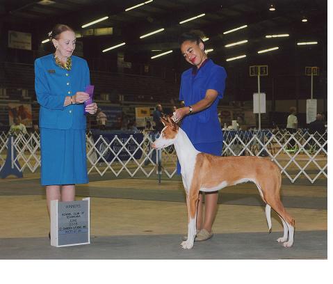 Lily Major Texarkana SM