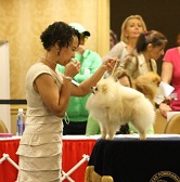 Tim Candid at Nationals small