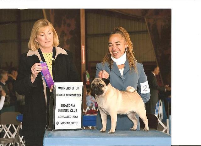 Wasabi Houston 11 09 sm