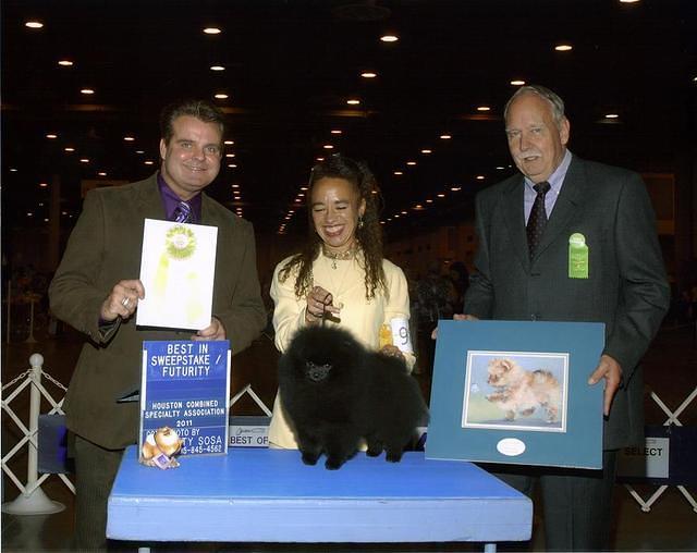 koshbestinsweepshouston 1 small